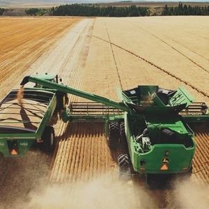 Meet your Posher, Timothy